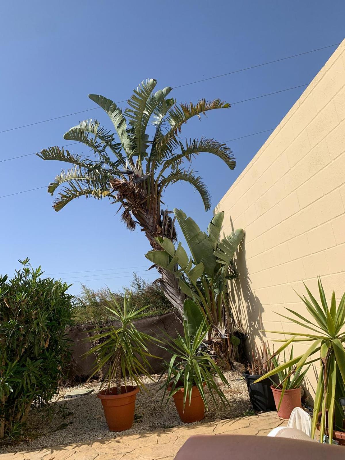 Hozanejos Traumhaus Fuer 6 Personen Mit Spektakulaerem Privaten Pool Und Schoenem Ausblick In Die Natur מראה חיצוני תמונה